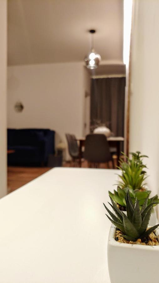 דירות Apartament Chopin גליביצ'ה מראה חיצוני תמונה